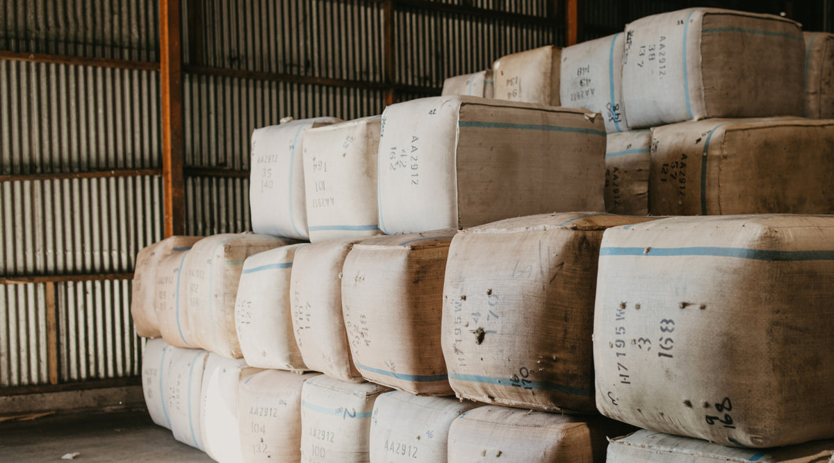 NZ Wool Group - From Here To The World
