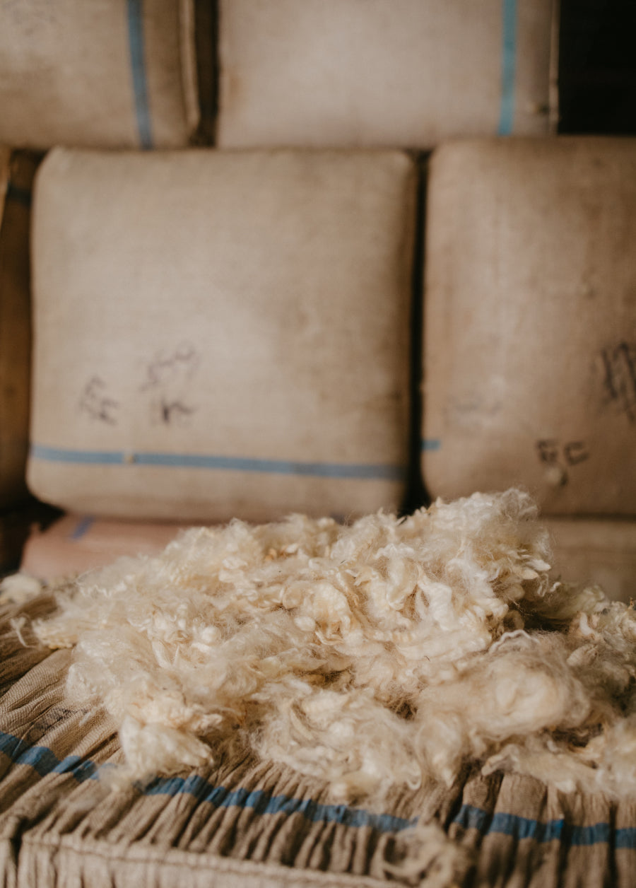 Wool Files NZ Wool Group - From Here To The World